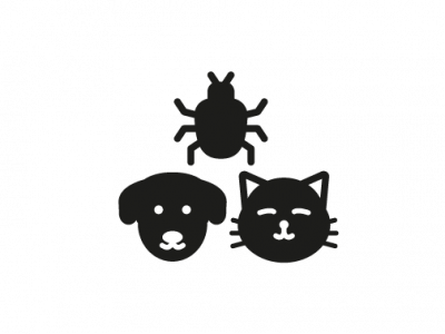 Dieren & insecten